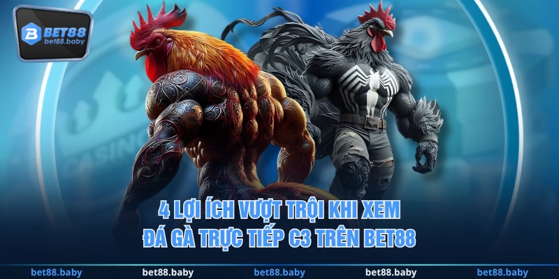 4 lợi ích vượt trội khi xem đá gà trực tiếp C3 trên BET88