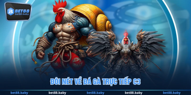 Đôi nét về đá gà trực tiếp C3