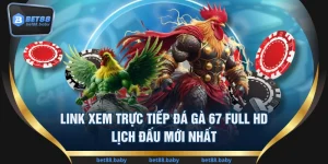 Link Xem Trực Tiếp Đá Gà 67 Full HD & Lịch Đấu Mới Nhất