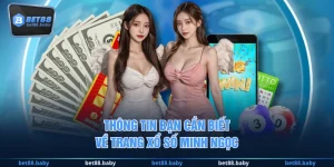 Thông tin bạn cần biết về trang xổ số Minh Ngọc