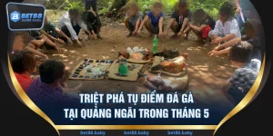 Triệt Phá Tụ Điểm Đá Gà Tại Quảng Ngãi Trong Tháng 5