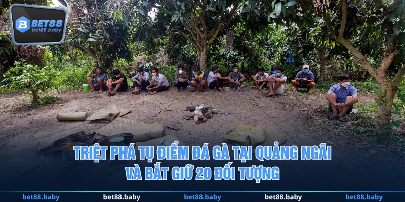 Triệt phá tụ điểm đá gà tại Quảng Ngãi và bắt giữ 20 đối tượng