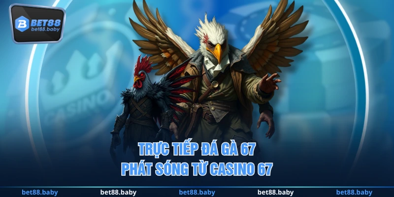 Trực tiếp đá gà 67 phát sóng từ Casino 67